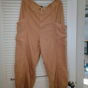 Urban Outfitters Tan Ankle Pants
